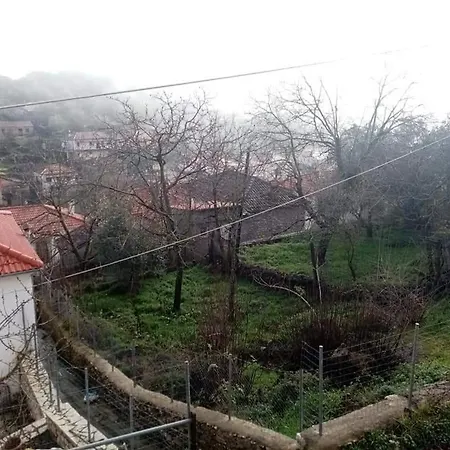 Traditional 度假居